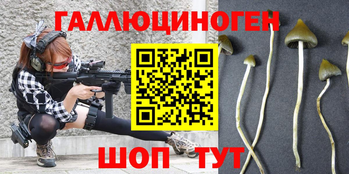 Галлюциногенные грибы прущие грибы Вязники